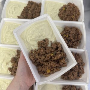 L9 - Carne moída acebolada com purê de couve flor