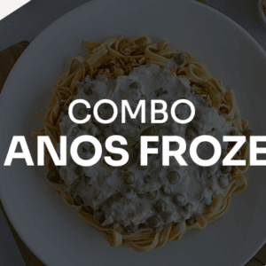 6 Anos Frozen